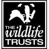 Yorkshire wildlife trust